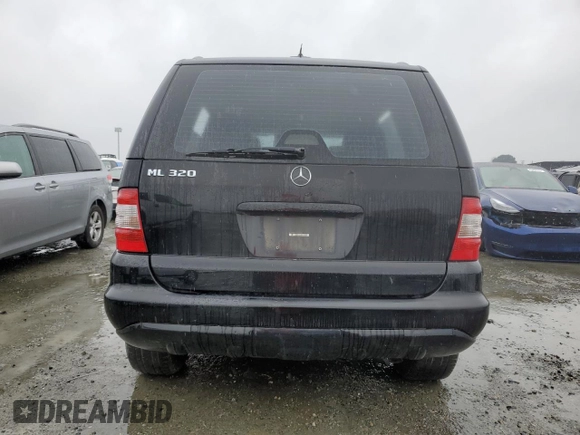 2003 Mercedes-Benz M-Class 3.2L with VIN 4JGAB54E33A394816, listed as a Copart auction lot 43430405 with 0 mi miles and Clean Title. Bid and sale history available at carsss.com. Image 6.