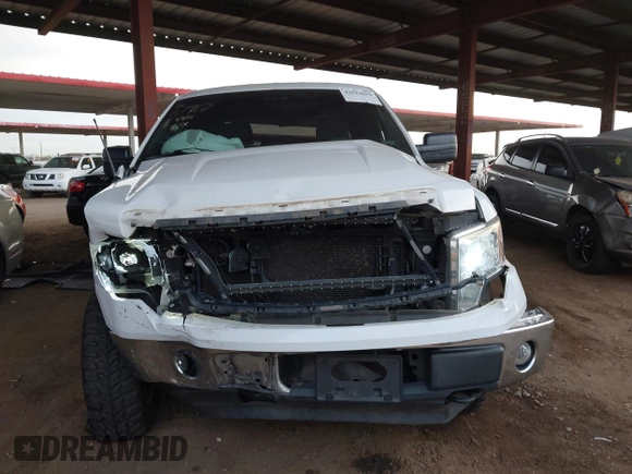 2013 Ford F-150 XL with VIN 1FTFW1EF5DFB99853, listed as a IAAI auction lot 42024669 with 113,013 mi miles. Bid and sale history available at carsss.com. Image 6.
