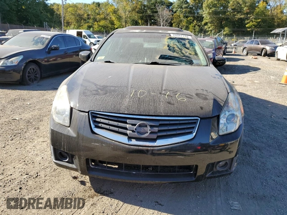 2008 Nissan Maxima 3.5 SE with VIN 1N4BA41E48C827541, listed as a Copart auction lot 76682744 with 0 mi miles and Salvage Title. Bid and sale history available at carsss.com. Image 5.
