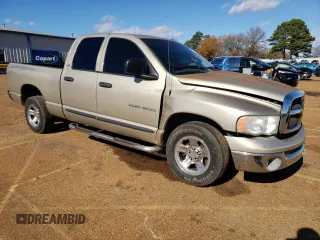2002 Dodge 1500 z VIN 1D7HA18N02S703732, wystawiony jako Copart lot #89305895 z przebiegiem 189 396 mil mil oraz Szkoda całkowita • Salvage title. Historia ofert i sprzedaży dostępna na DreamBid. Obrazek 4.