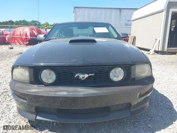 2008 Ford Mustang GT Deluxe with VIN 1ZVHT82H185138377, listed as a IAAI auction lot 42063894 with 103,942 mi miles. Bid and sale history available at carsss.com. Image 12.
