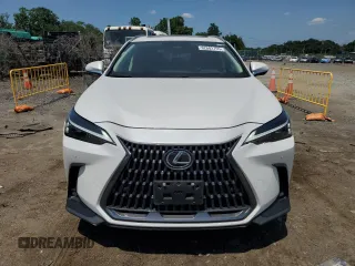 2024 Lexus NX 350 Premium with VIN 2T2GGCEZ0RC056702, listed as a Copart auction lot 62602755 with 13,317 mi miles and Salvage title. Bid and sale history available at DreamBid. Image 5.