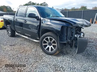 2009 Chevrolet Silverado 1500 LS with VIN 3GCEC13C19G287303, listed as a IAAI auction lot 40966100 with 304,495 mi miles. Bid and sale history available at carsss.com. Image 1.