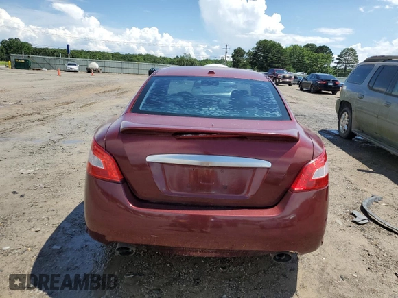 2010 Nissan Maxima SV with VIN 1N4AA5AP7AC820706, listed as a Copart auction lot 60928385 with 131,222 mi miles and Clean title. Bid and sale history available at DreamBid. Image 6.