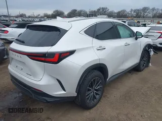 2024 Lexus NX 250 Premium with VIN 2T2GDCAZXRC015315, listed as a IAAI auction lot 41360875 with 7,294 mi miles and . Bid and sale history available at DreamBid. Image 4.