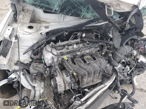 2019 Hyundai Accent SE with VIN 3KPC24A36KE049477, listed as a Copart auction lot 47841845 with 0 mi miles and Salvage Title. Bid and sale history available at carsss.com. Image 12.