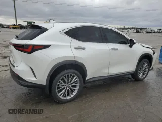 2023 Lexus NX with VIN JTJGKCEZXP2013352, listed as a Copart auction lot 49780415 with 44,593 mi miles and Salvage Title. Bid and sale history available at carsss.com. Image 3.