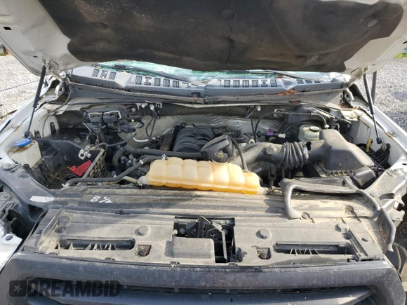 2015 Ford F-150 XLT with VIN 1FTEW1EF1FKF12791, listed as a Copart auction lot 60320115 with Not provided miles and Salvage title. Bid and sale history available at DreamBid. Image 11.