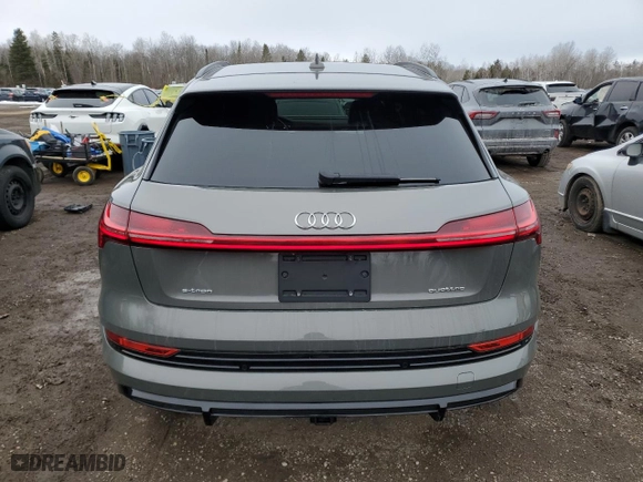 2023 Audi e-tron Premium with VIN WA1AAAGE9PB000421, listed as a Copart auction lot 48717585 with NaN miles and Non Repairable. Bid and sale history available at carsss.com. Image 6.
