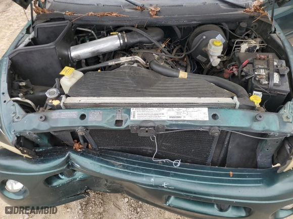 1999 Dodge Ram 1500 with VIN 3B7HC13Y6XG163338, listed as a Copart auction lot 67640594 with 207,847 mi miles and Salvage Title. Bid and sale history available at carsss.com. Image 11.