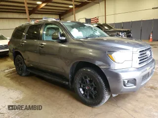 2020 Toyota Sequoia SR5 with VIN 5TDBY5G14LS178489, listed as a Copart auction lot 45889335 with 53,511 mi miles and Salvage Title. Bid and sale history available at carsss.com. Image 4.