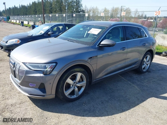 2019 Audi e-tron Premium Plus with VIN WA1LAAGE4KB012574, listed as a IAAI auction lot 41916641 with 104,911 mi miles. Bid and sale history available at carsss.com. Image 19.