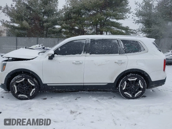 2023 Kia Telluride S with VIN 5XYP6DGC7PG363114, listed as a IAAI auction lot 41260043 with 49,499 mi miles and . Bid and sale history available at DreamBid. Image 14.