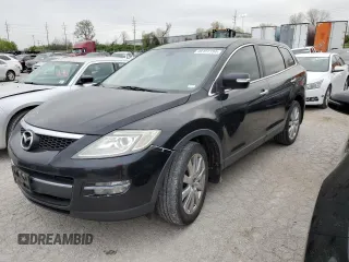 2009 Mazda CX-9 Touring with VIN JM3TB38V190164967, listed as a Copart auction lot 49181154 with 217,438 mi miles and Salvage Title. Bid and sale history available at carsss.com. Image 1.