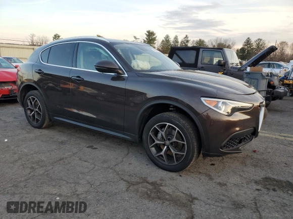 2019 Alfa Romeo Stelvio Ti with VIN ZASPAKBN8K7C45713, listed as a Copart auction lot 81956594 with Not provided miles and Salvage title. Bid and sale history available at DreamBid. Image 4.
