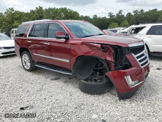 2020 Cadillac Escalade Luxury with VIN 1GYS3BKJ9LR217557, listed as a Copart auction lot 61842584 with 63,461 mi miles and Salvage Title. Bid and sale history available at carsss.com. Image 4.