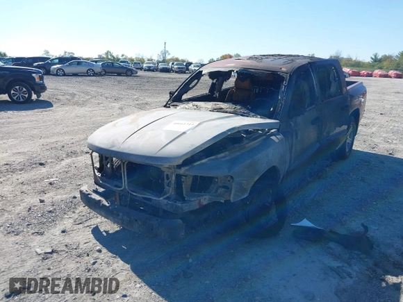 2009 Dodge Dakota SXT with VIN 1D7HE38K59S719263, listed as a IAAI auction lot 40661314 with Not Provided miles and . Bid and sale history available at DreamBid. Image 2.