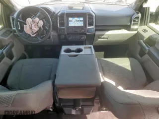 2016 Ford F-150 XLT with VIN 1FTEW1EF3GKD51572, listed as a Copart auction lot 49282255 with 170,073 mi miles and Salvage Title. Bid and sale history available at carsss.com. Image 8.