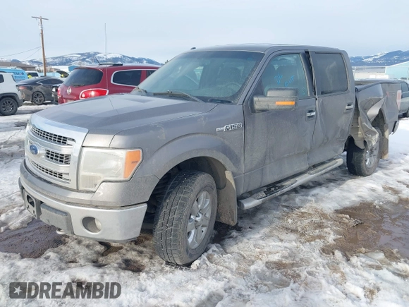 2014 Ford F-150 XL с VIN 1FTFW1EF8EKF96899, выставлен на аукционе IAAI как лот 41512811 с пробегом 79 070 миль миль и . История ставок и продаж доступна на DreamBid. Изображение 18.