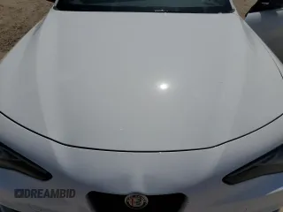 2020 Alfa Romeo Giulia Ti Sport с VIN ZARFAMBN1L7636628, выставлен на аукционе Copart как лот 56220145 с пробегом 59 768 миль миль и Списание • Salvage title. История ставок и продаж доступна на DreamBid. Изображение 11.