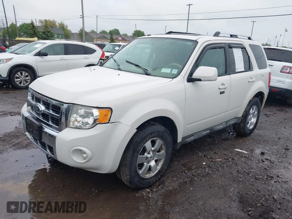 2009 Ford Escape Limited with VIN 1FMCU94G09KB77240, listed as a IAAI auction lot 42321802 with 143,127 mi miles and . Bid and sale history available at DreamBid. Image 2.