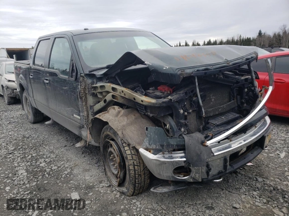 2013 Ford F-150 with VIN 2ATE01102DKD97632, listed as a Copart auction lot 49815235 with Not provided miles and Salvage title. Bid and sale history available at DreamBid. Image 4.