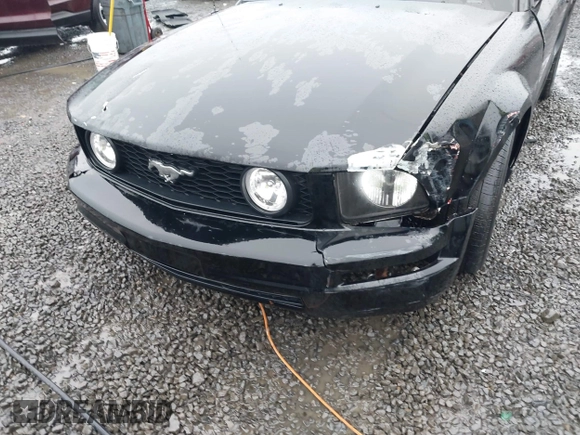 2006 Ford Mustang Standard with VIN 1ZVFT80N565161531, listed as a IAAI auction lot 41097766 with 149,250 mi miles and . Bid and sale history available at DreamBid. Image 6.