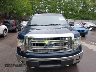 2013 Ford F-150 XL with VIN 1FTFX1EFXDFB89719, listed as a IAAI auction lot 42310707 with 142,977 mi miles and . Bid and sale history available at DreamBid. Image 13.
