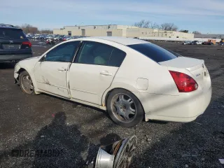 2004 Nissan Maxima SE with VIN 1N4BA41E24C928510, listed as a Copart auction lot 50180405 with 265,506 mi miles and Non Repairable. Bid and sale history available at DreamBid. Image 2.