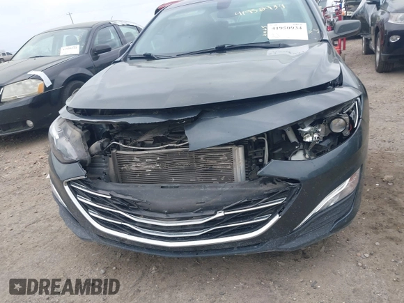 2019 Chevrolet Malibu LS with VIN 1G1ZB5ST3KF187099, listed as a IAAI auction lot 41950934 with 67,123 mi miles and . Bid and sale history available at DreamBid. Image 6.