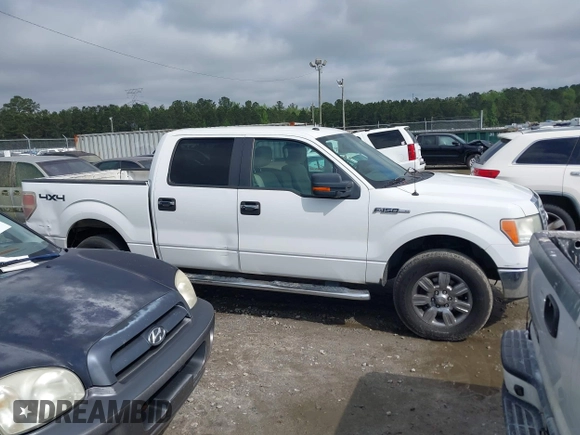 2010 Ford F-150 XL with VIN 1FTFW1EV5AFC03029, listed as a IAAI auction lot 41928629 with 256,111 mi miles. Bid and sale history available at carsss.com. Image 13.