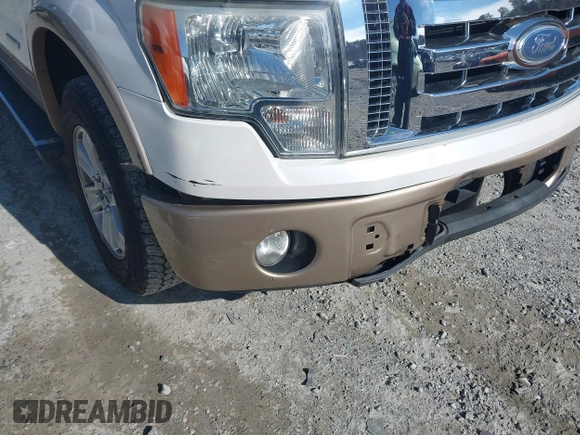 2012 Ford F-150 XL with VIN 1FTFW1CT0CFC69413, listed as a IAAI auction lot 41286897 with 164,438 mi miles. Bid and sale history available at carsss.com. Image 19.