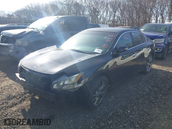2012 Nissan Maxima S with VIN 1N4AA5AP8CC806431, listed as a IAAI auction lot 42074948 with Not provided miles and . Bid and sale history available at DreamBid. Image 2.