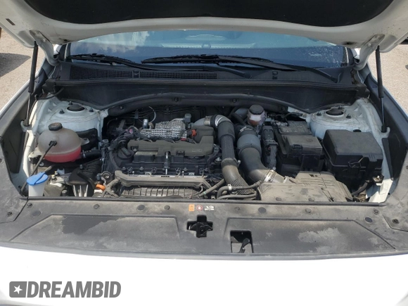2023 Hyundai Santa Fe Limited with VIN 5NMS4DAL2PH517081, listed as a Copart auction lot 54197505 with 53,584 mi miles and Salvage Title. Bid and sale history available at DreamBid. Image 12.