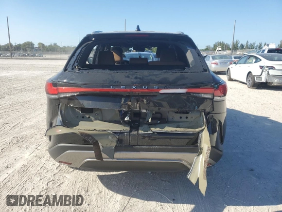 2024 Lexus RX 350 with VIN 2T2BAMBA4RC036050, listed as a Copart auction lot 53133885 with Not provided miles and Non repairable. Bid and sale history available at DreamBid. Image 6.