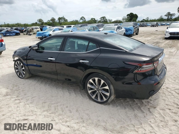 2023 Nissan Maxima Platinum with VIN 1N4AA6FV0PC501797, listed as a Copart auction lot 65560742 with 89 mi miles and Salvage title. Bid and sale history available at DreamBid. Image 2.