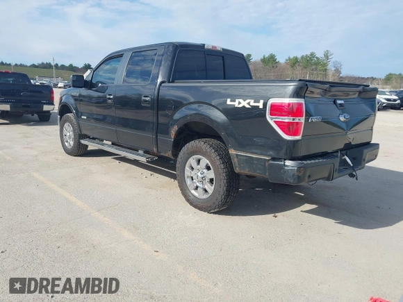 2011 Ford F-150 XLT with VIN 1FTFW1ET7BFA54123, listed as a IAAI auction lot 42119218 with 208,258 mi miles. Bid and sale history available at carsss.com. Image 3.