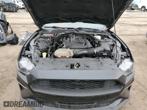 2019 Ford Mustang EcoBoost with VIN 1FATP8UH1K5196047, listed as a Copart auction lot 43608795 with 62,570 mi miles and Salvage Title. Bid and sale history available at carsss.com. Image 11.