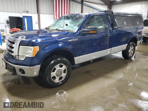 2009 Ford F-150 with VIN 1FTPF14V39KB74154, listed as a Copart auction lot 55580845 with 123,487 mi miles and Salvage title. Bid and sale history available at DreamBid. Image 1.