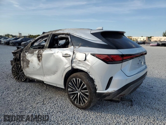 2024 Lexus RX with VIN 2T2BAMBA1RC024647, listed as a Copart auction lot 83905654 with Not Provided miles and Non Repairable. Bid and sale history available at carsss.com. Image 2.