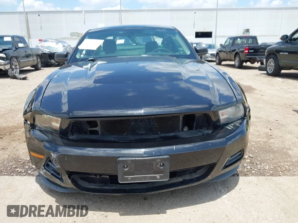 2010 Ford Mustang V6 с VIN 1ZVBP8ANXA5176164, выставлен на аукционе IAAI как лот 42217134 с пробегом 135 993 миль миль и . История ставок и продаж доступна на DreamBid. Изображение 13.