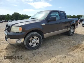 2005 Ford F-150 XLT with VIN 1FTRX12565KB21614, listed as a Copart auction lot 61488075 with 202,747 mi miles and Salvage title. Bid and sale history available at DreamBid. Image 1.