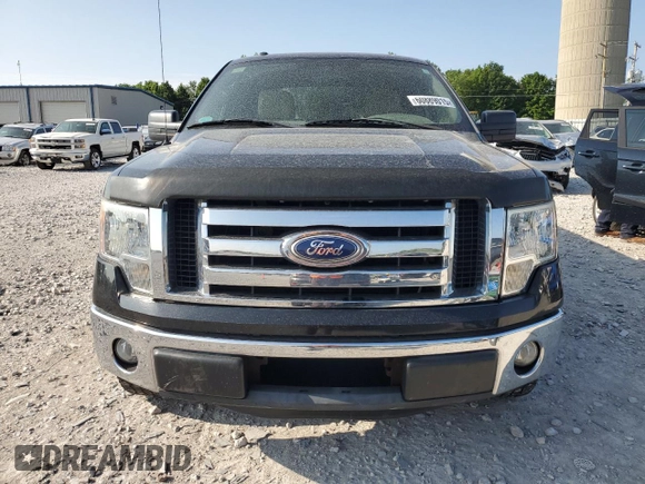 2011 Ford F-150 XL with VIN 1FTEX1CM8BFA38906, listed as a Copart auction lot 60889015 with 143,667 mi miles and Clean title. Bid and sale history available at DreamBid. Image 5.