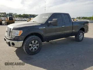 2010 Ford F-150 XL with VIN 1FTFX1EV2AFB61013, listed as a Copart auction lot 53895375 with 119,331 mi miles and Clean Title. Bid and sale history available at carsss.com. Image 1.