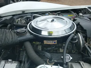 1981 Chevrolet Corvette with VIN 1G1AY8761BS428181, listed as a IAAI auction lot 42948353 with 66,662 mi miles and . Bid and sale history available at DreamBid. Image 19.