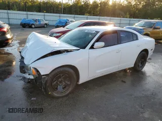 2014 Dodge Charger Police with VIN 2C3CDXAG0EH358597, listed as a Copart auction lot 79943644 with 137,821 mi miles and Salvage Title. Bid and sale history available at DreamBid. Image 1.