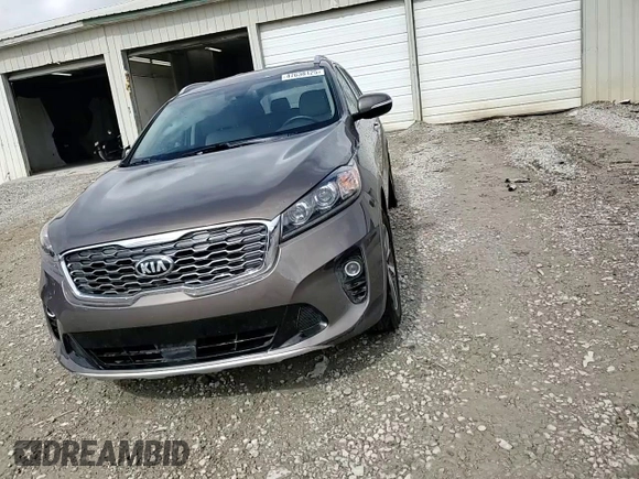 2019 Kia Sorento EX with VIN 5XYPH4A54KG506078, listed as a Copart auction lot 47638125 with 33,485 mi miles and Salvage Title. Bid and sale history available at DreamBid. Image 14.