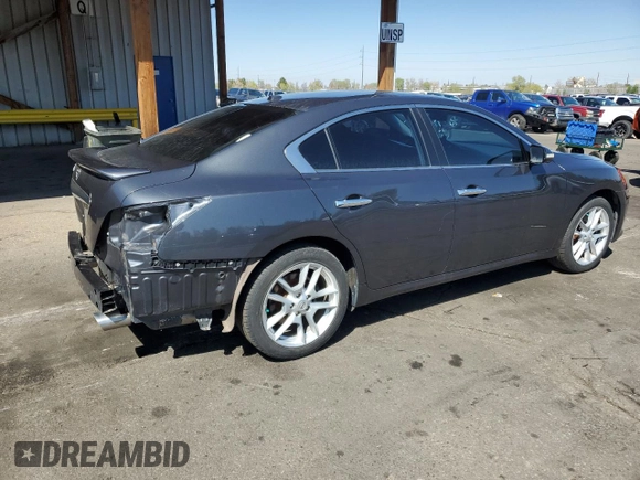 2010 Nissan Maxima SV with VIN 1N4AA5AP1AC871408, listed as a Copart auction lot 50430555 with 191,086 mi miles and Salvage title. Bid and sale history available at DreamBid. Image 3.