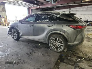 2023 Lexus RX with VIN 2T2BBMCA0PC003815, listed as a Copart auction lot 45183545 with 0 mi miles and Salvage Title. Bid and sale history available at carsss.com. Image 2.