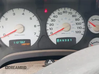 2002 Dodge 1500 z VIN 1D7HA16N62J201753, wystawiony jako IAAI lot #42400336 z przebiegiem 112 782 mil mil oraz . Historia ofert i sprzedaży dostępna na DreamBid. Obrazek 15.